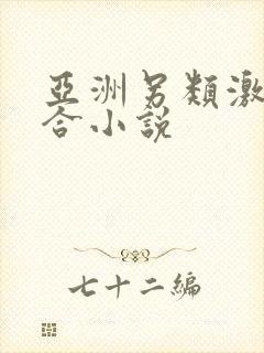 亚洲另类激情综合小说