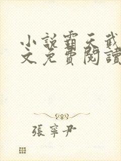 小说霸天武魂全文免费阅读