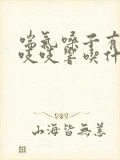 喘气嗓子有鸣音吱吱响吃什么药