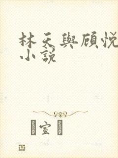 林天与顾悦瑶的小说