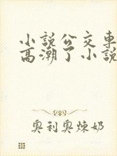 小说公交车被上高潮了小说