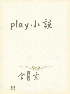 play小说