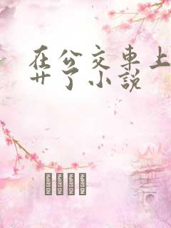在公交车上被人艹了小说