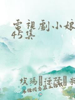 电视剧小娘惹第45集
