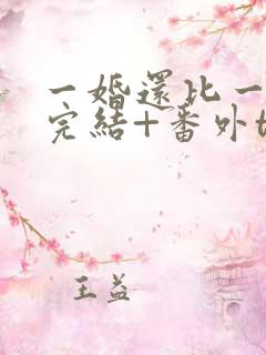 一婚还比一婚高完结+番外txt