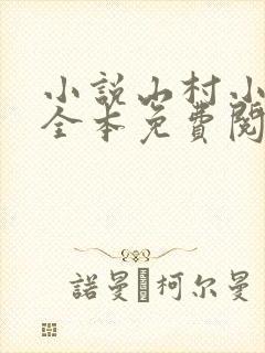 小说山村小农民全本免费阅读