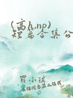 (高h,np)短篇合集公交车