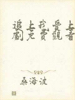 追上我爱上你短剧免费观看