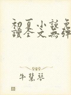初夏小说免费阅读全文无弹窗