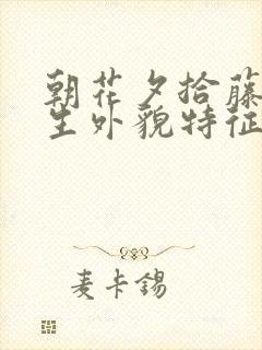 朝花夕拾藤野先生外貌特征