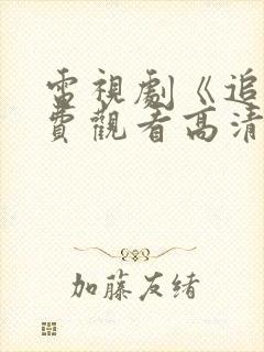 电视剧《追》免费观看高清版