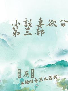 小说妻欲公与媳第三部
