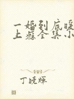 一婚到底暖妻宠上瘾全集小说