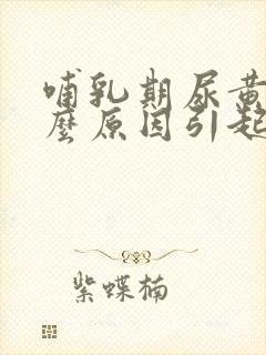 哺乳期尿黄是什么原因引起的