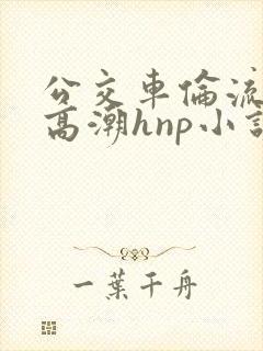 公交车伦流澡到高潮hnp小说