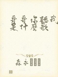 哥哥你听我说呀是什么歌