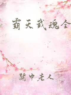 霸天武魂全