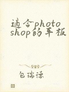 适合photoshop的平板