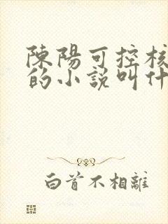 陈阳可控核聚变的小说叫什么名字