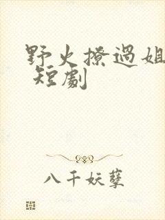 野火撩过姐姐心 短剧