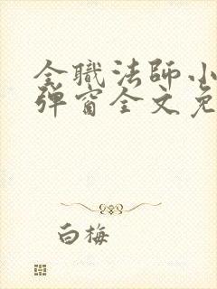 全职法师小说无弹窗全文免费阅读