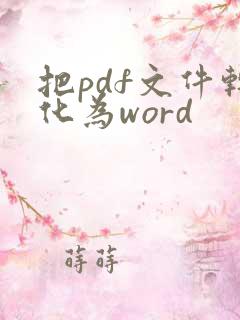 把pdf文件转化为word