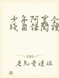 少年阿宾全集在线目录阅读全文原文