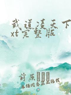 武道凌天下载txt完整版