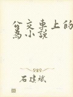 公交车上的性行为小说