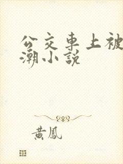 公交车上被插高潮小说