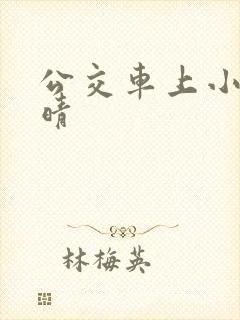 公交车上小说诗晴