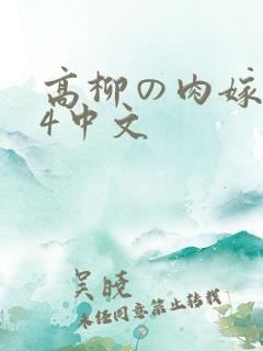 高柳の肉嫁1～4中文