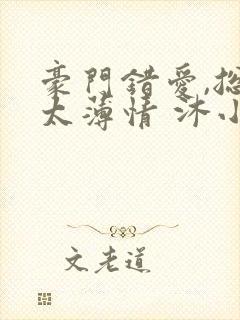 豪门错爱,总裁太薄情 沐小乌