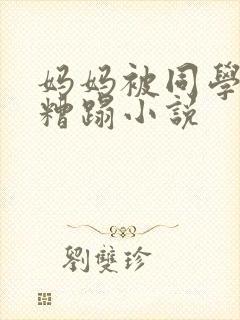 妈妈被同学强子糟蹋小说