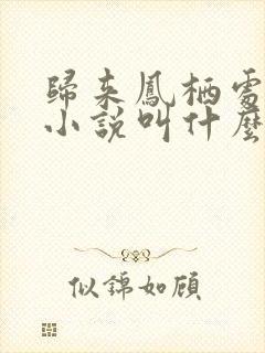 归来凤栖处原著小说叫什么名字