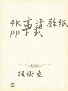 4k高清壁纸app下载