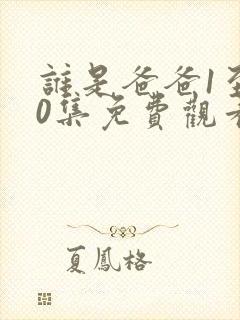 谁是爸爸1至40集免费观看