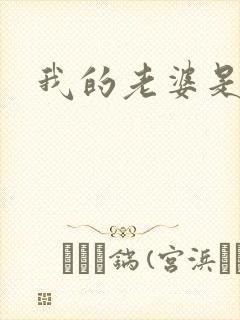 我的老婆是军阀