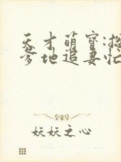 天才萌宝:总裁爹地追妻忙全文免费阅读
