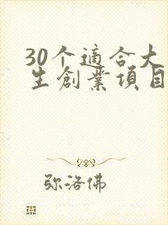 30个适合大学生创业项目