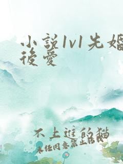 小说1v1先婚后爱