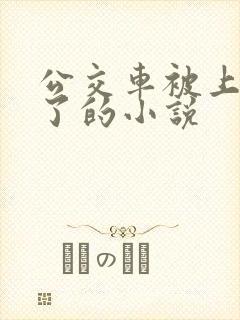 公交车被上高潮了的小说