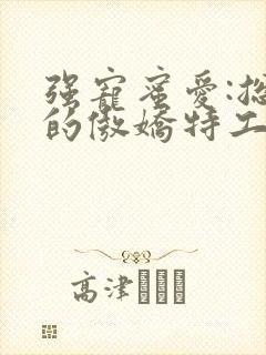 强宠蜜爱:总裁的傲娇特工妻小说