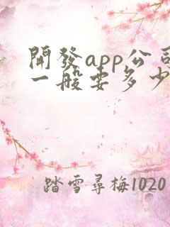 开发app公司一般要多少钱