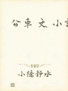 公车 文 小说