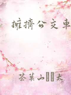 拥挤公交车小说