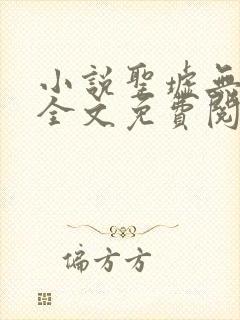 小说圣墟无弹窗全文免费阅读