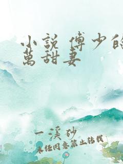 小说 傅少的亿万甜妻