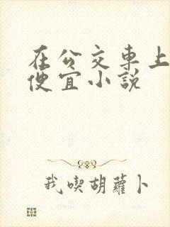 在公交车上被占便宜小说