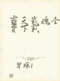 霸天武魂全文免费下载